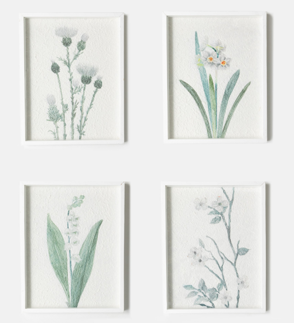 FP152 BOTANICAL FR ART SET OF 4 - Kate & Co. Home