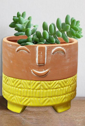 JYN562S LARGE CEMENT POT / W FACE - Kate & Co. Home