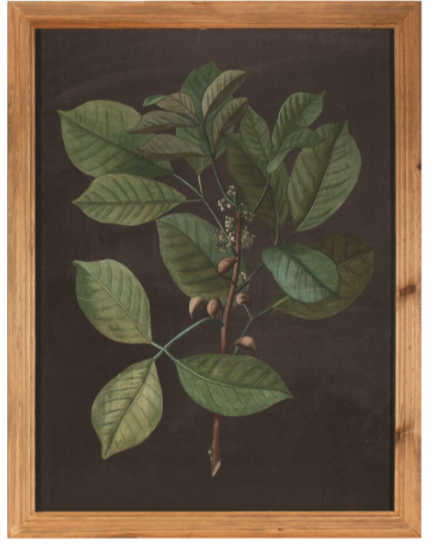 N21464B BLK LEAF WALL ART - Kate & Co. Home